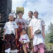 Cung