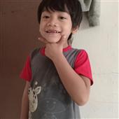 Trực