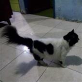 Th