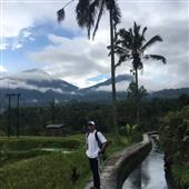 Lị