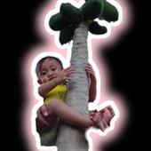 Đánh