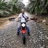 Đánh
