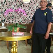 Phố