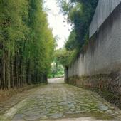 CâuC
