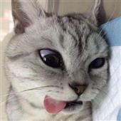 Quản