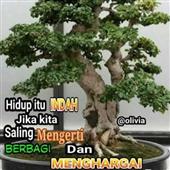 Ng