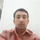 Gấu 
