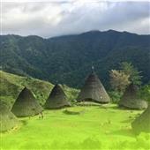 Nữ