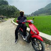 VỪ