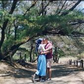 Chỉ 