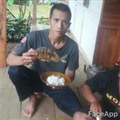 Sơ đ