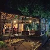 Gấ