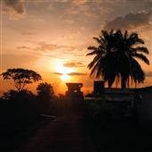 Củ