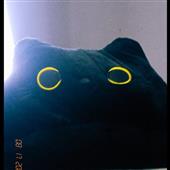 Pi