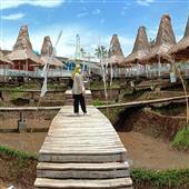 Dòng