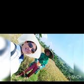 Cung