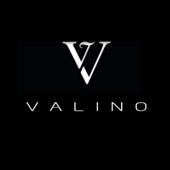 Vi
