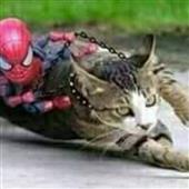 To