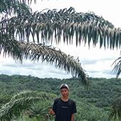 Gấp 