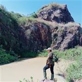 Trực