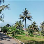 Giải