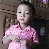 Sấ