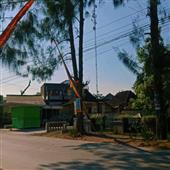 Nhận