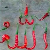 Ch