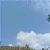 Đấu 