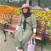 Cung