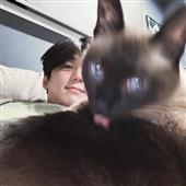 Giải
