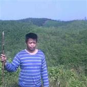 Gi