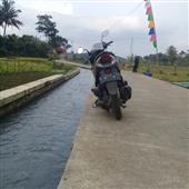 Kết 