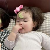 Gấu 