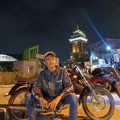 Trực