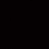 Bl