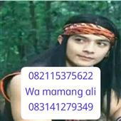 Gamb