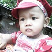 gấu 