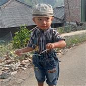 Luật