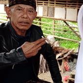 Sấ