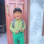 Tải 