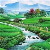 Dự