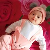 Phim