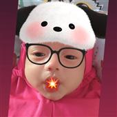 Cung