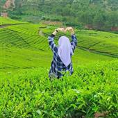 Kẹ