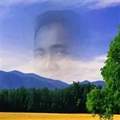 Cu