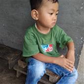Trực