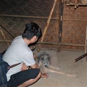 Bà