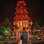 Dự