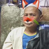 Cu